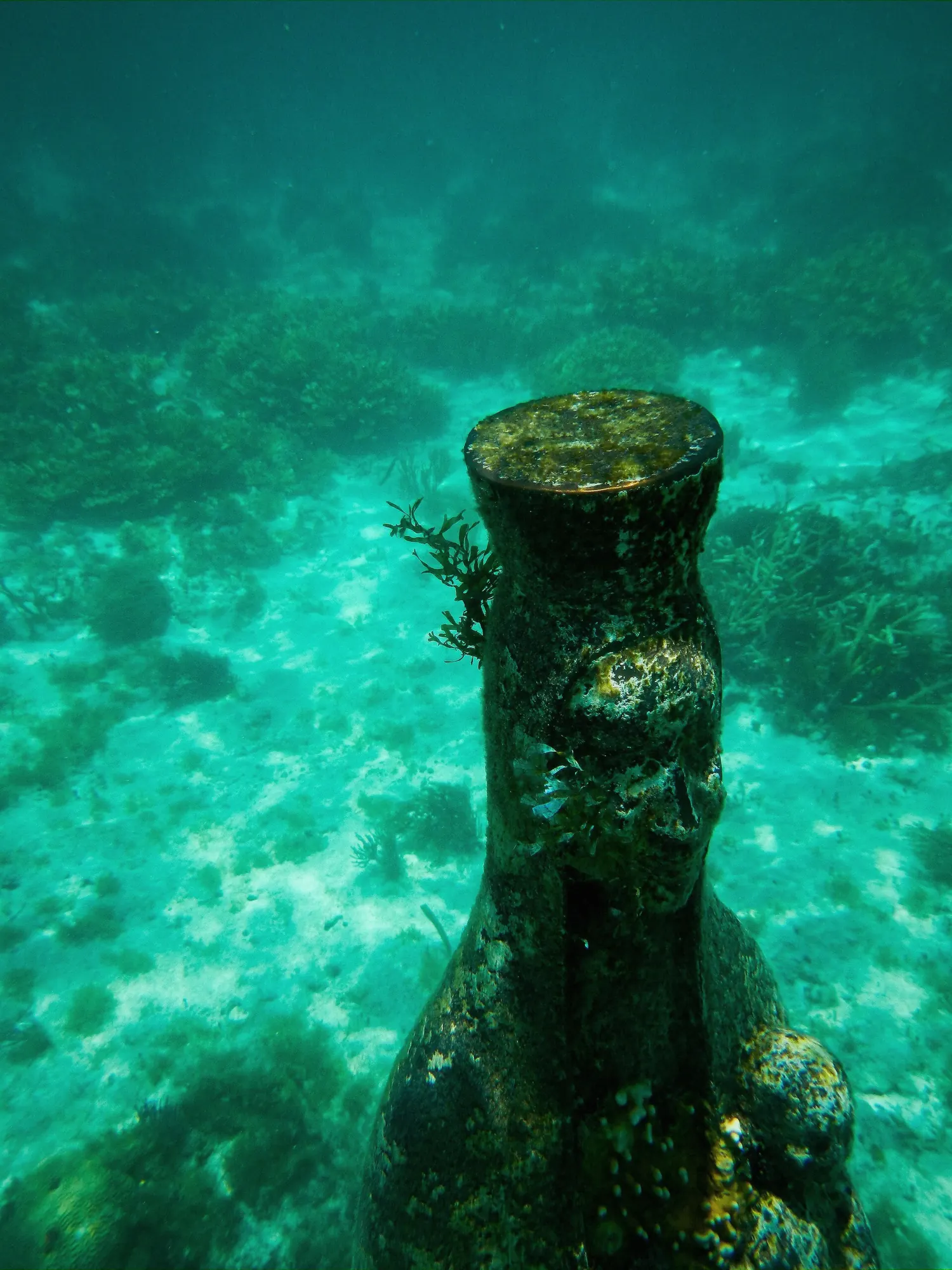 Statues on the sea floor at the MUSA underwater museum off Cancun, Mexico