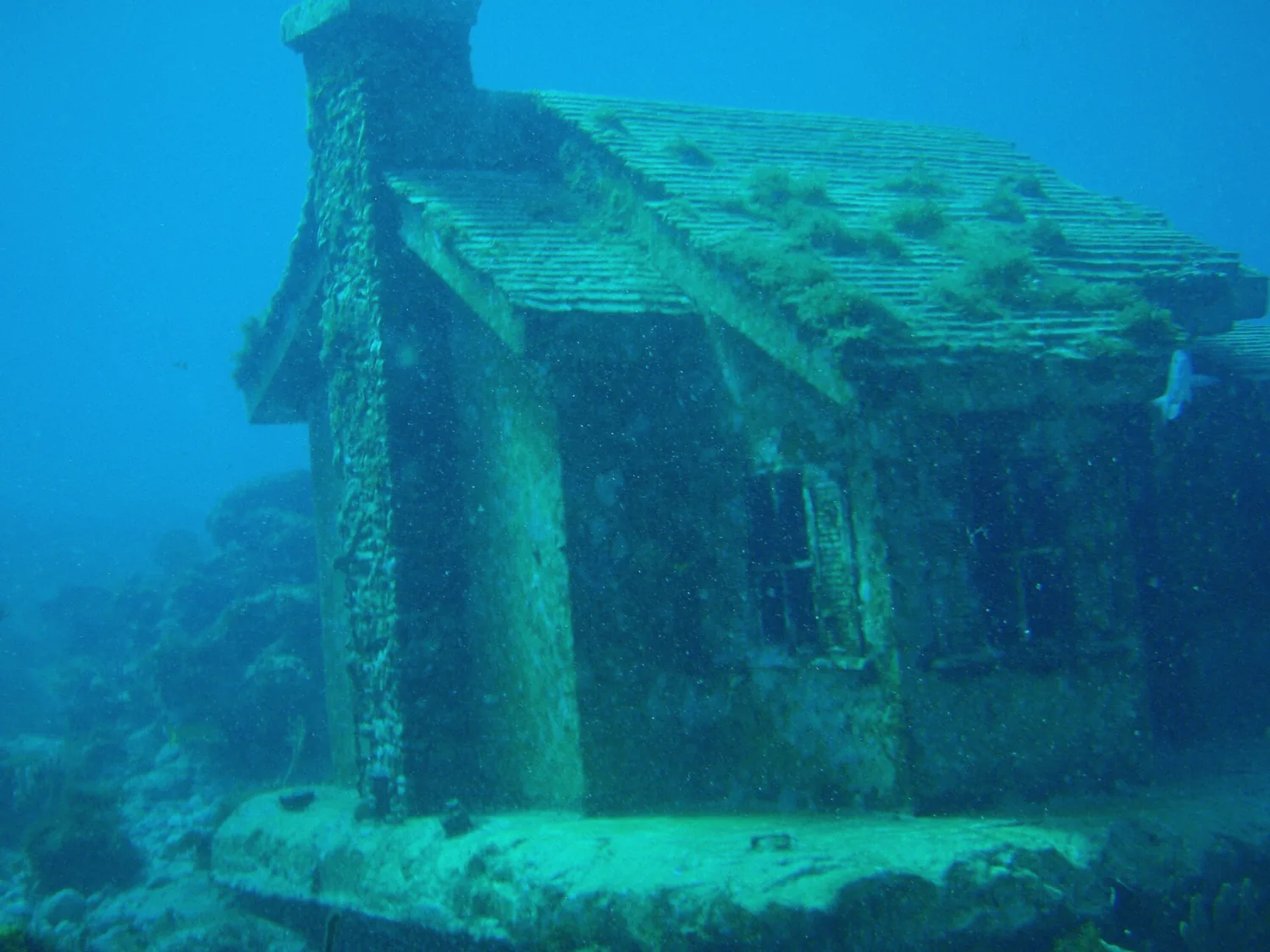 Snorkeler swimming above MUSA statues on Manchones reef off Isla Mujeres, Mexico