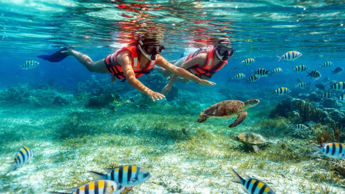 Snorkeler over the Puerto Morelos national park reef with fish and coral on the snorkeling trip with beach lunch, Mexico
